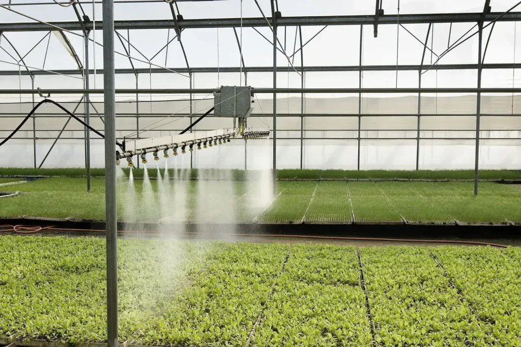 Système d’irrigation dans une serre agricole